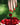 Manucurist Green - Red coral - KYOTO - Manucurist Green