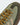 Adidas HANDBALL SPEZIAL WT Teal Green / Khaki Heather / Night Cargo - KYOTO - Adidas