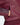 Adidas SST TT MAROON/BLACK/DRFOGO - KYOTO - Adidas clothing