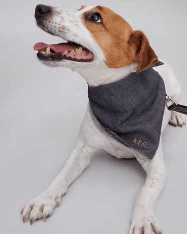 A.P.C dog bandana indigo - KYOTO - A.P.C women