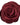 Pico Small Satin Rose Claw Dark plum - KYOTO - Pico