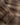 WOOD WOOD WWCarter shirt 25282 Delicioso Check - KYOTO - WOOD WOOD