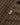 WOOD WOOD WWNico shirt 25391 Desert palm check - KYOTO - WOOD WOOD