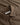 WOOD WOOD WWNico shirt 25391 Desert palm check - KYOTO - WOOD WOOD